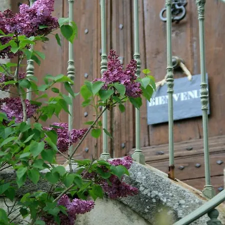 L'affable Les Cammazes