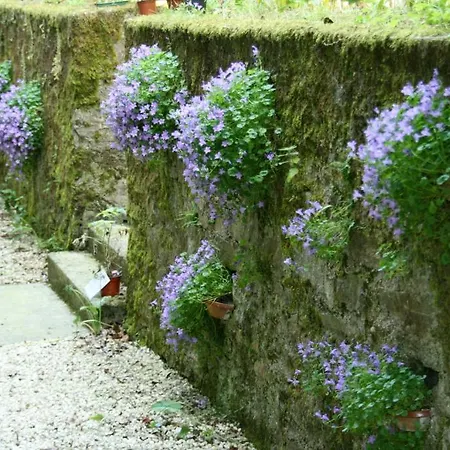 Bed and breakfast L'affable Les Cammazes