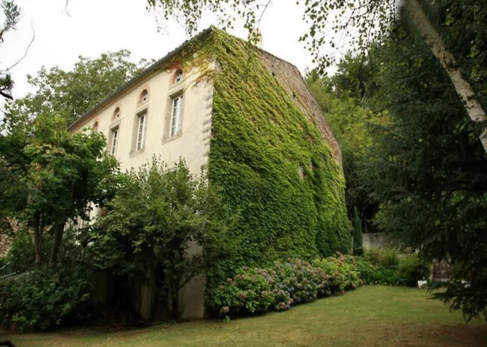 L'affable Les Cammazes