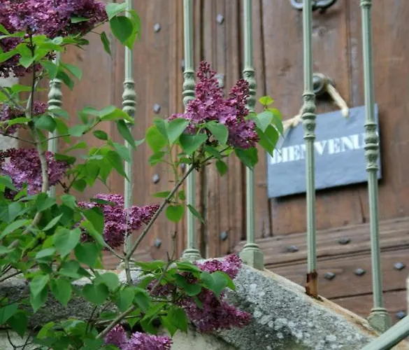 L'affable Les Cammazes